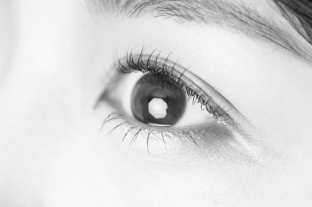 長持ちする高い技術